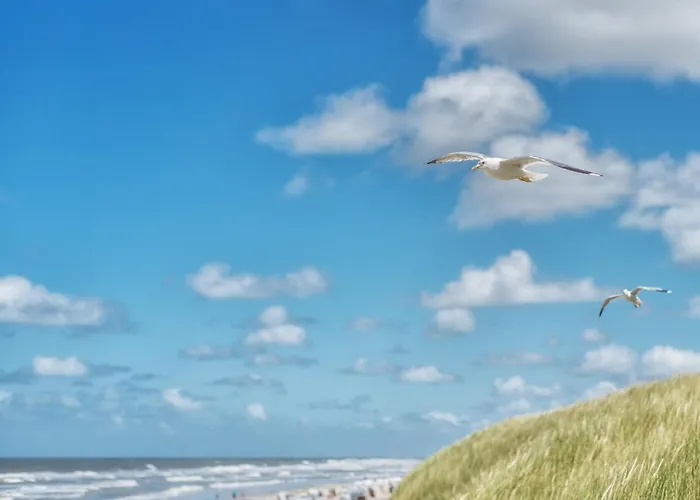 Ostwind * Шпикерог